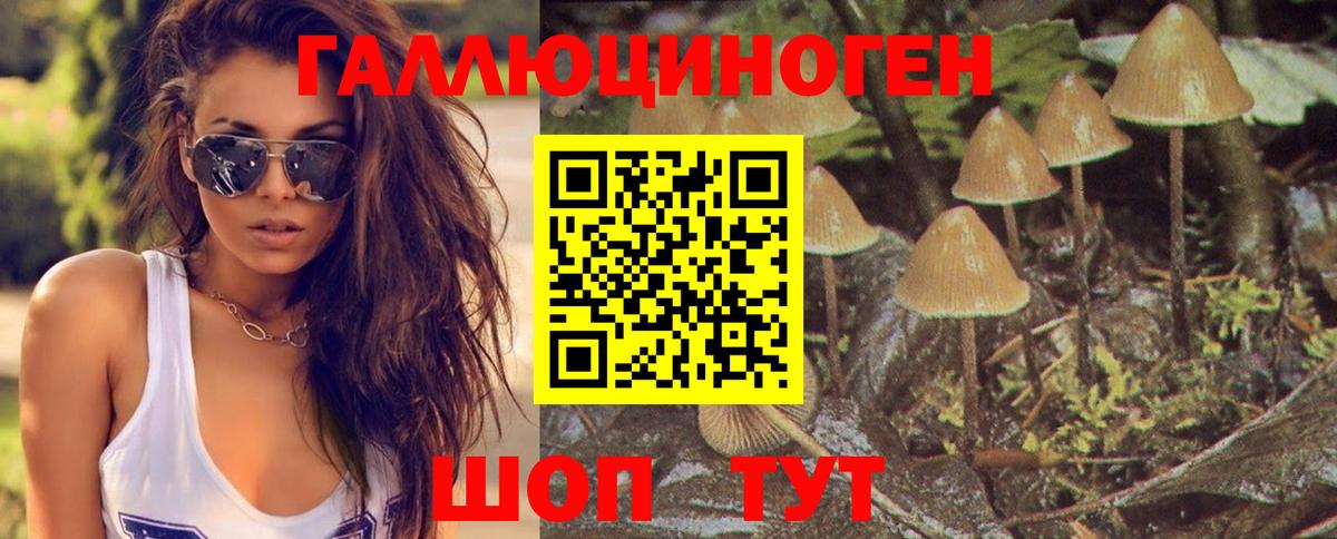 Псилоцибиновые грибы прущие грибы Шатура