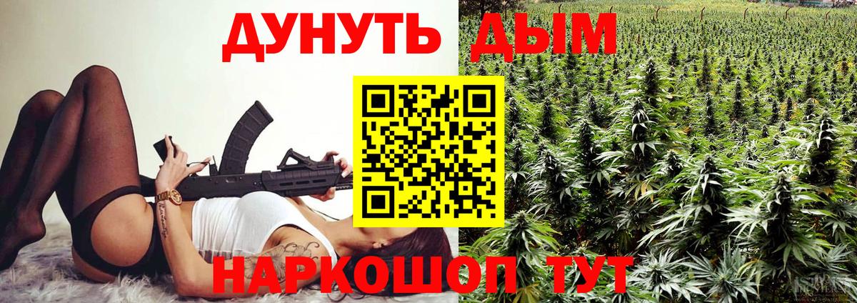 Каннабис индика Шатура